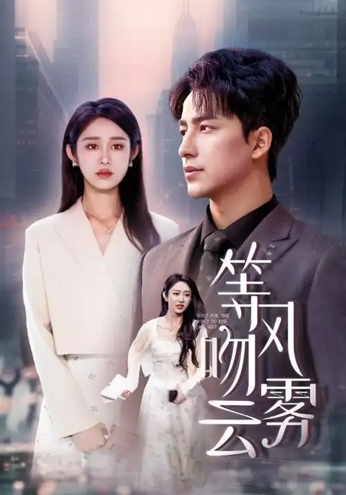雾港迷局电视剧全集免费观看